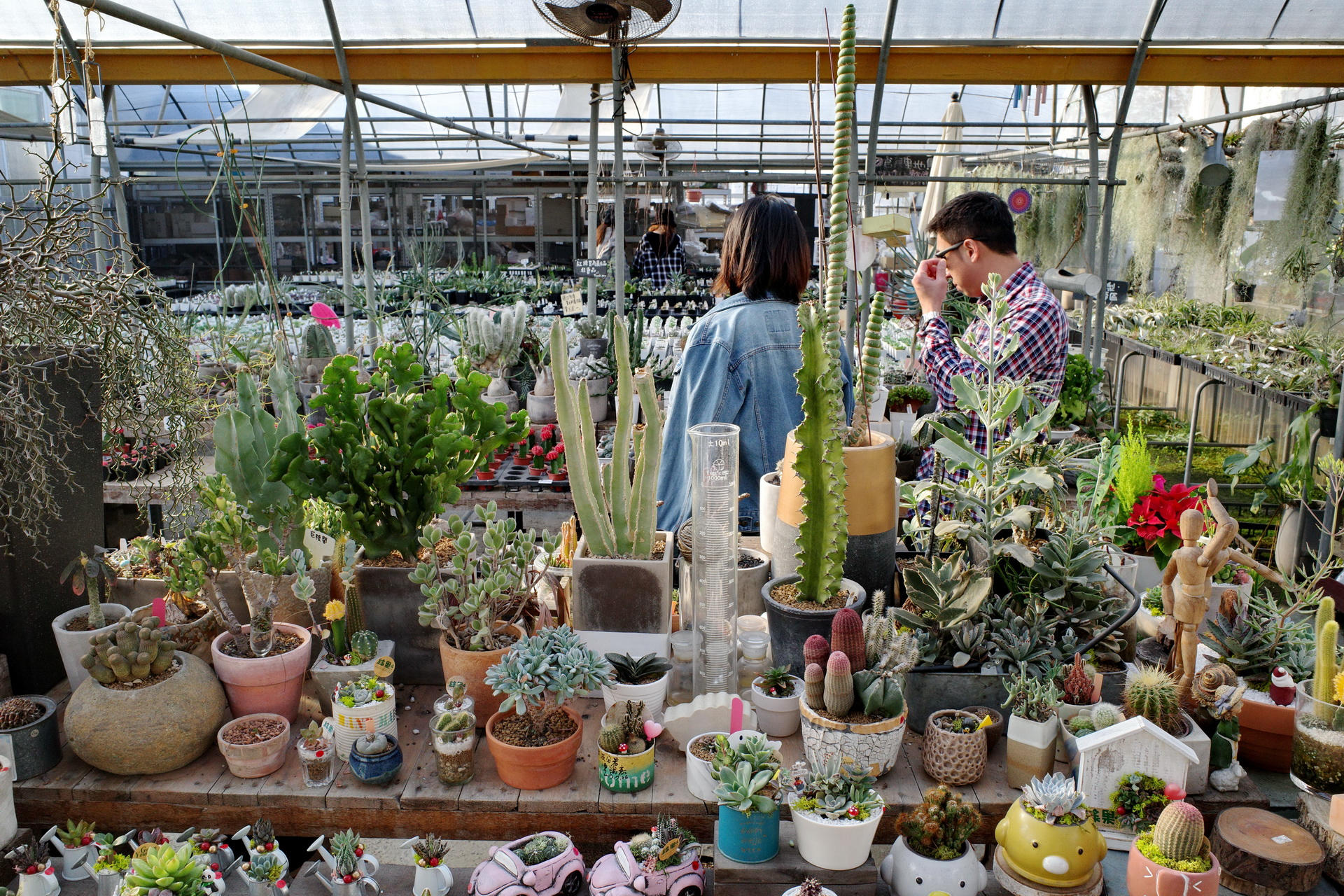 綠果庭院 Green Life Garden