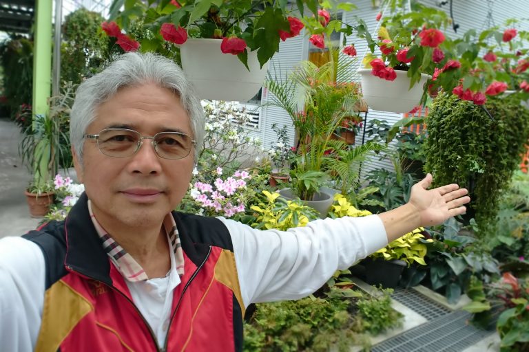 菁芳園