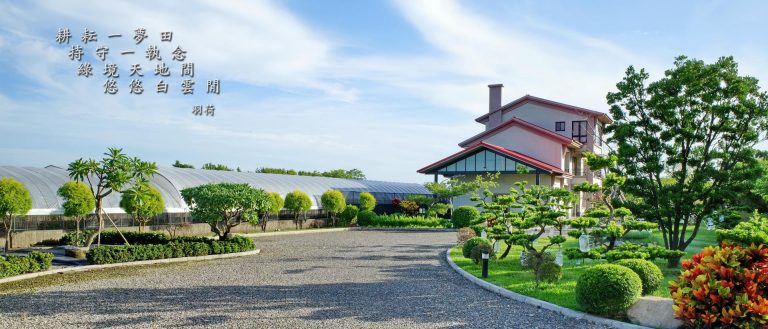 夏日光景 2021-07