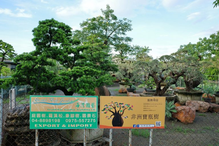 海灣園林 Grand bay garden co.
