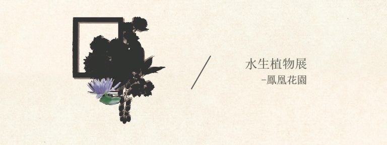 水生植物展