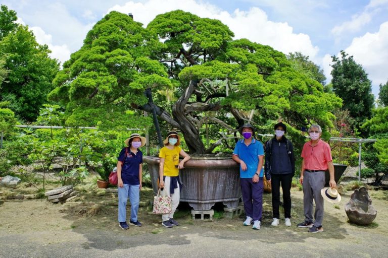 柏鄉園簡介