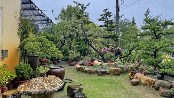 豐盛造園