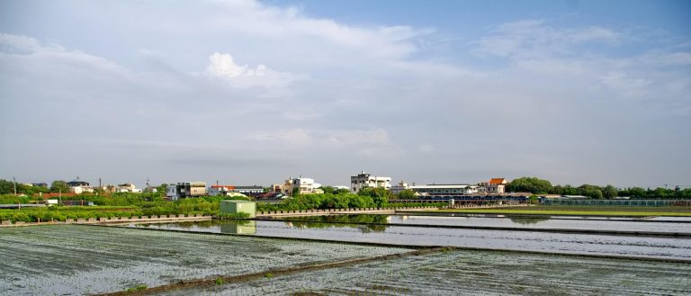 花田小徑 2022-07