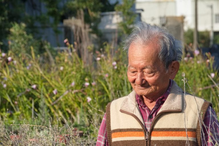豐田園藝 OPEN FARM