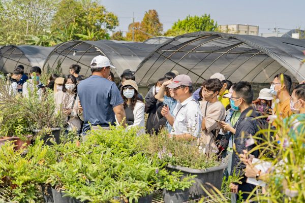 豐田園藝 toyota gardening