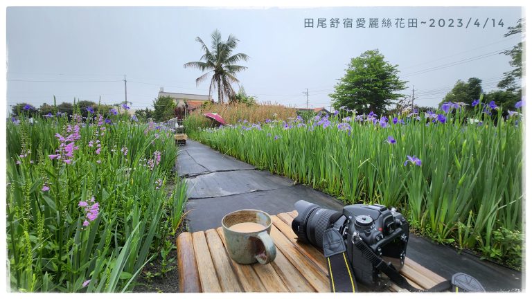 舒宿旅人小屋~鳶尾花季
