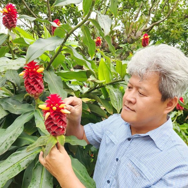 菁芳園【講座】陳坤燦老師【綠手指如何練成?】：圖片 3