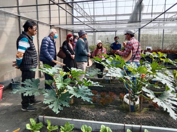 富良田農村廚房-2024年Open Garden專案體驗：圖片 5