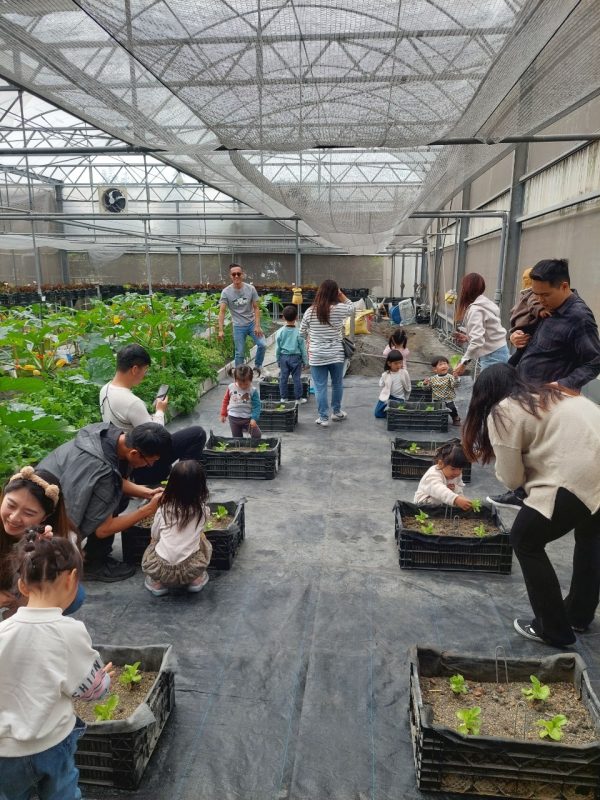 富良田農村廚房-2024年Open Garden專案體驗：圖片 10