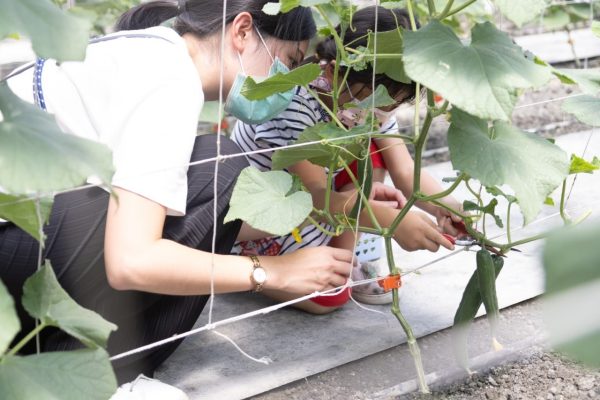 富良田農村廚房-2024年Open Garden專案體驗：圖片 3