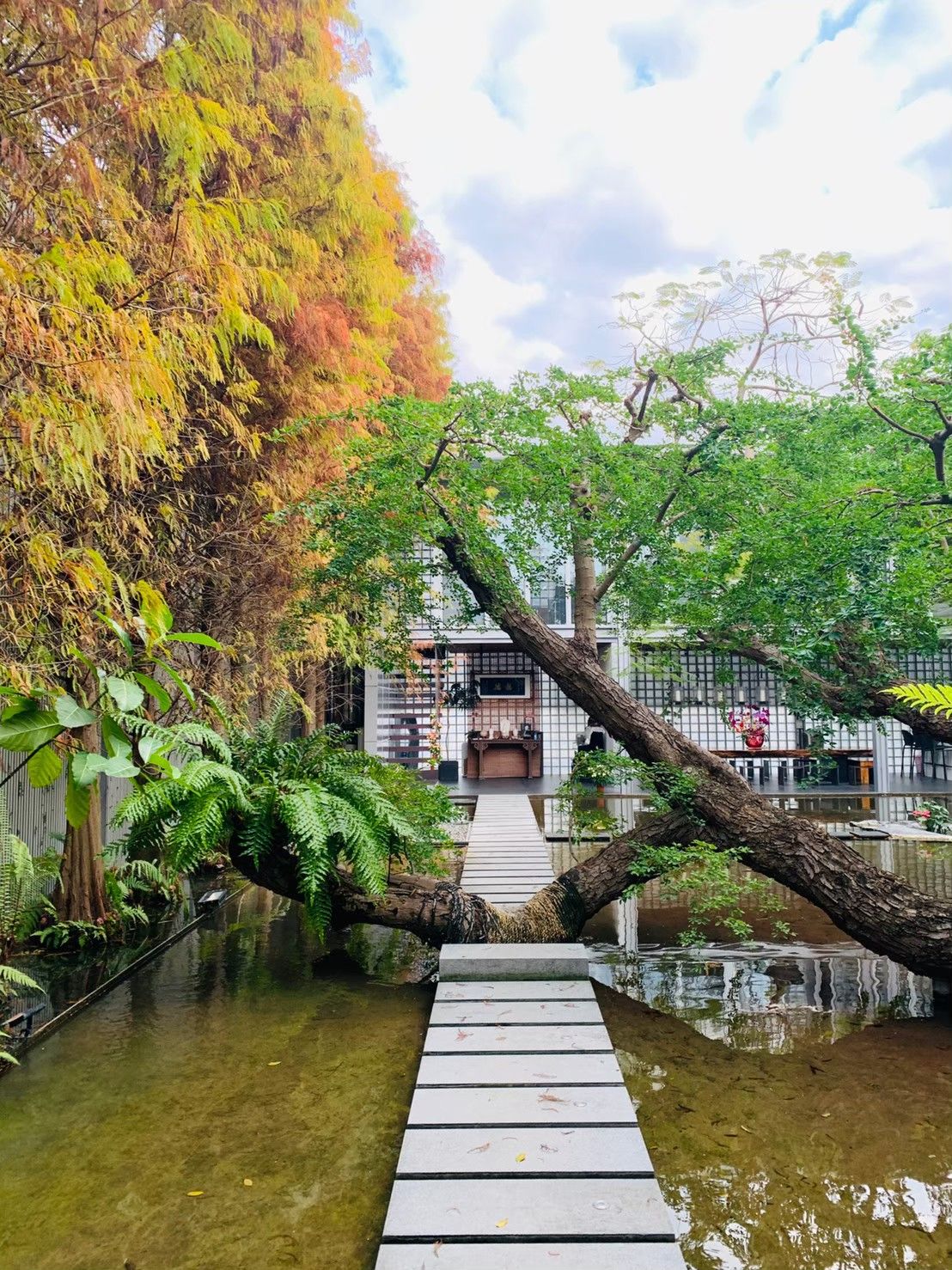 藝樹館-邂逅自然與藝術-園區導覽:圖片 2