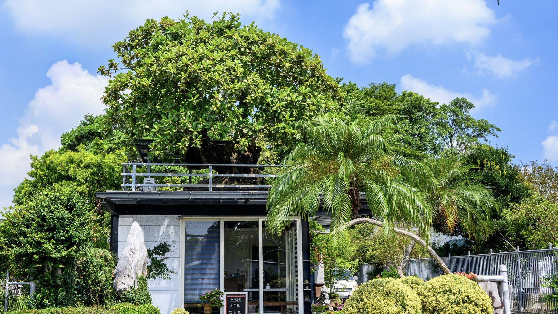 綠樹環抱的花園小屋