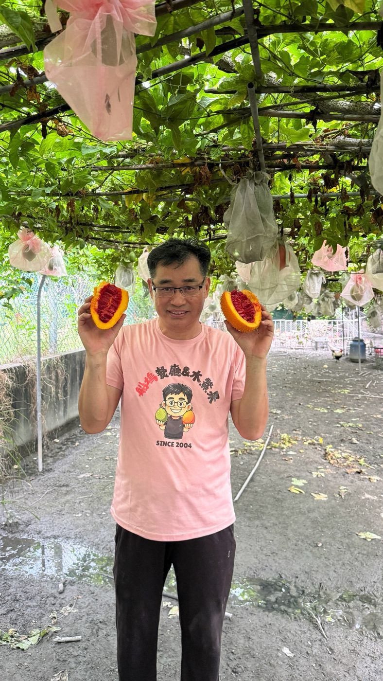 船塢主人雙手拿著剖開的木鱉果