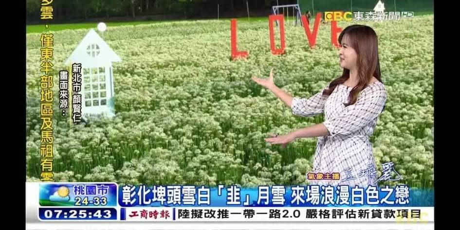 幸福韭韭盛開的白色韭菜花